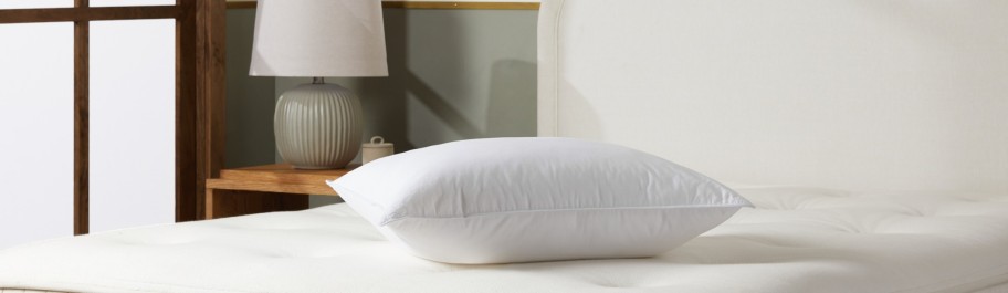 Parachute Pillow Inserts | Down Pillow