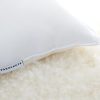 Parachute Pillow Inserts | Down Decorative Pillow Insert