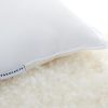 Parachute Decorative Pillows + Throws | Down Decorative Lumbar Pillow Insert