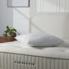 Parachute Decorative Pillows + Throws | Feather Euro Pillow